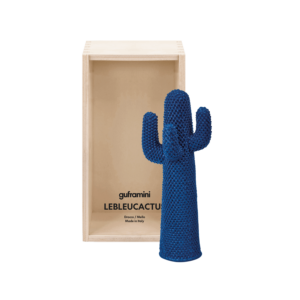 SomeNameini Lebleucactus